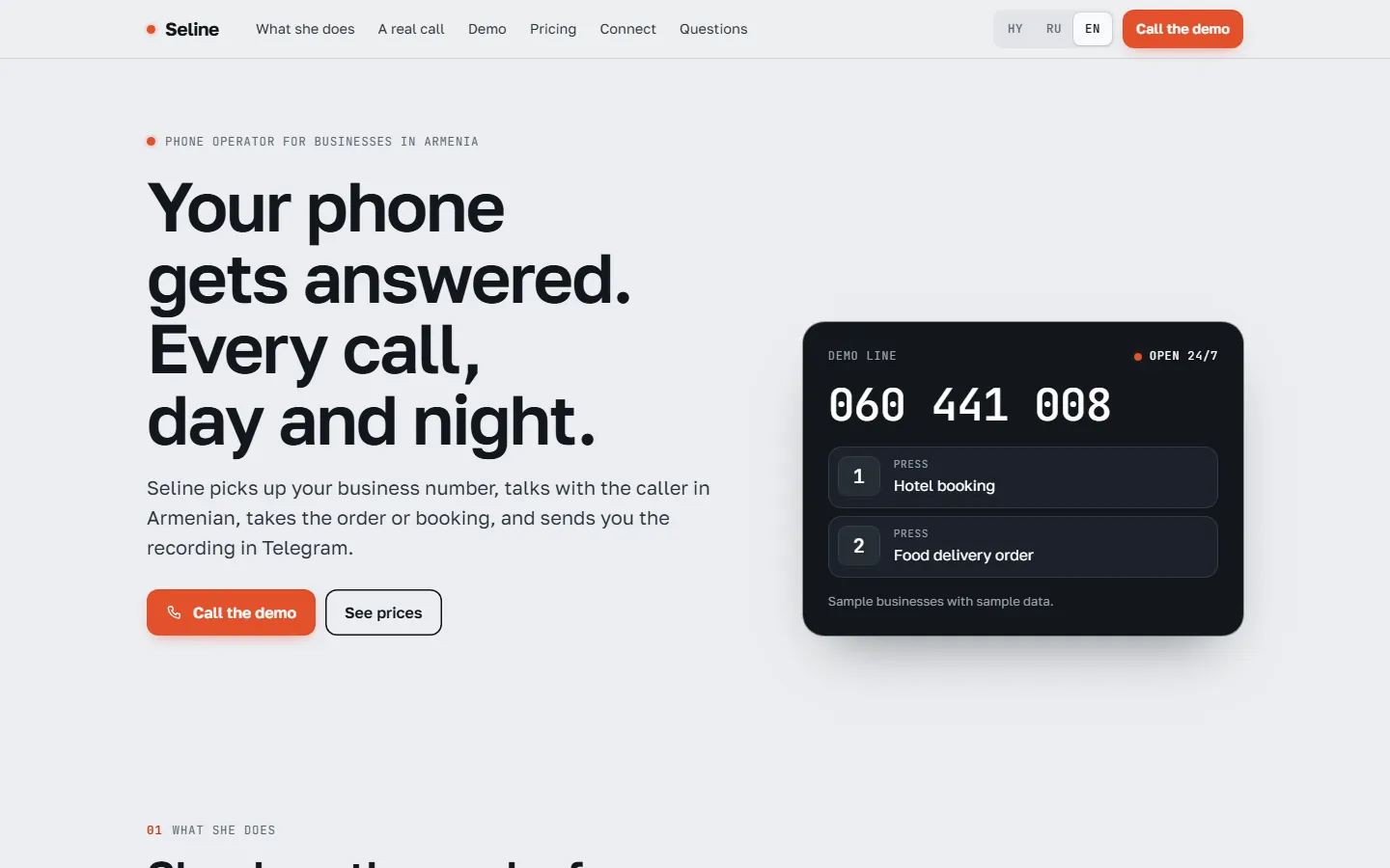 The seline.am website with the demo line